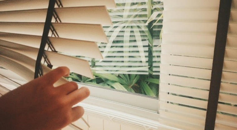 testing windows blinds